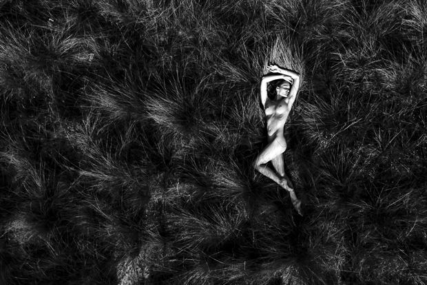 in the weeds artistic nude photo by model ayeonna gabrielle