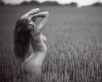 in the wheat fields Artistic Nude Photo by Photographer Armellekerine Photography