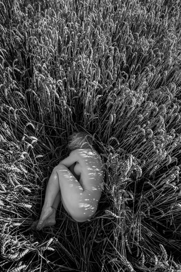 in the wheat nest artistic nude photo by photographer brian cann