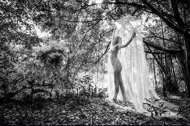 in the wood in ir artistic nude photo by photographer peter lik