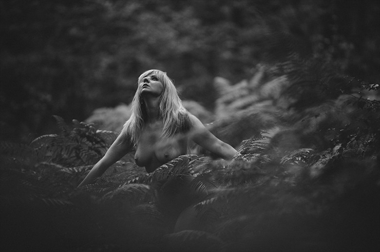 in the woods Artistic Nude Photo by Model Nika
