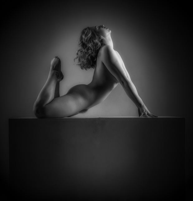 incomparable beauty artistic nude artwork by photographer neilh