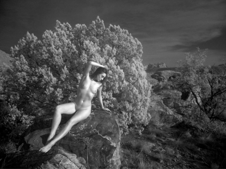 infrared nude artistic nude photo by photographer lugal