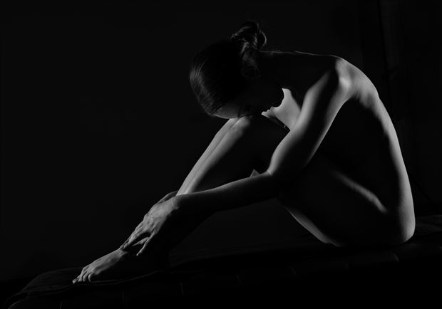 introspection ii artistic nude photo by photographer scott friedland