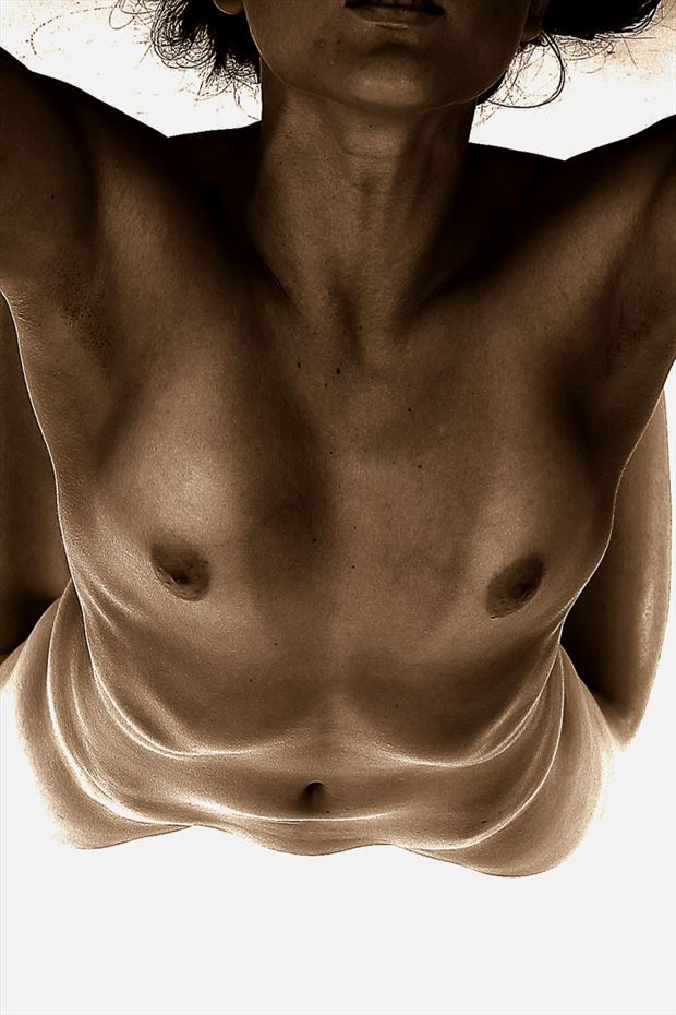 inverted nude artistic nude photo by photographer lsf photography