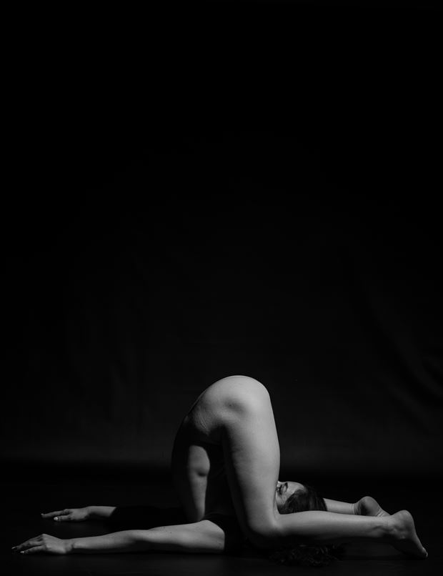 inverted t artistic nude artwork by photographer gsphotoguy