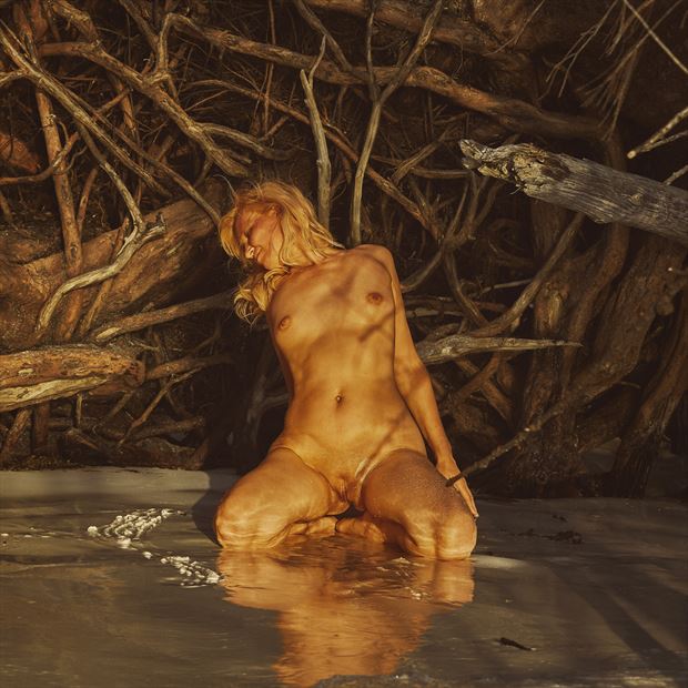 islands artistic nude photo by photographer dml