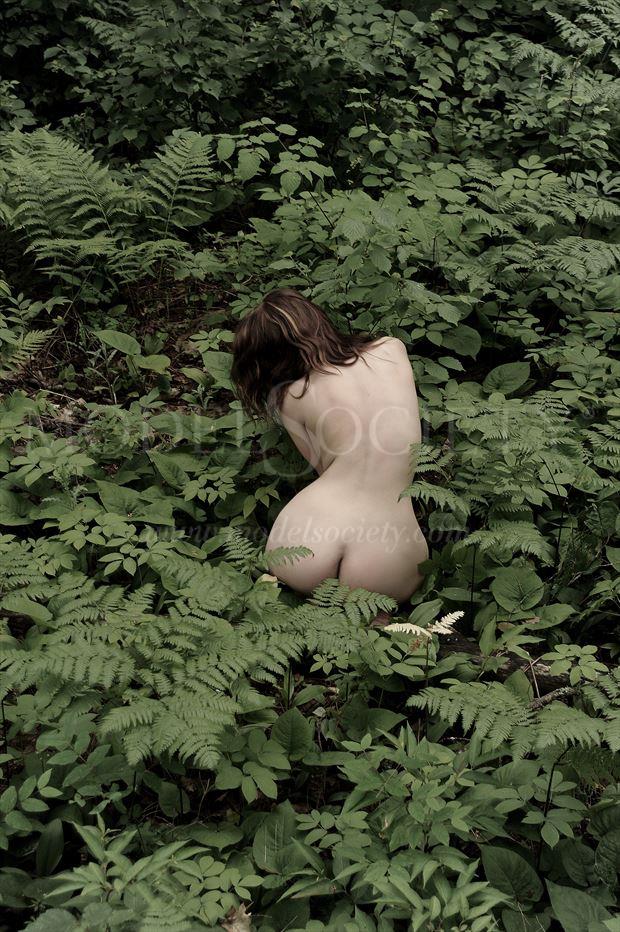itasca state park mn artistic nude photo by photographer ray valentine