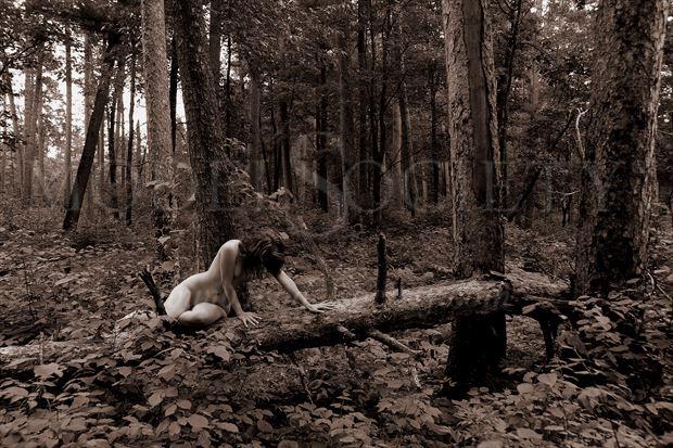 itaska state park mn artistic nude photo by photographer ray valentine