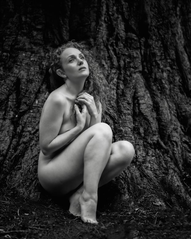 ivory 1 artistic nude photo by photographer alanm
