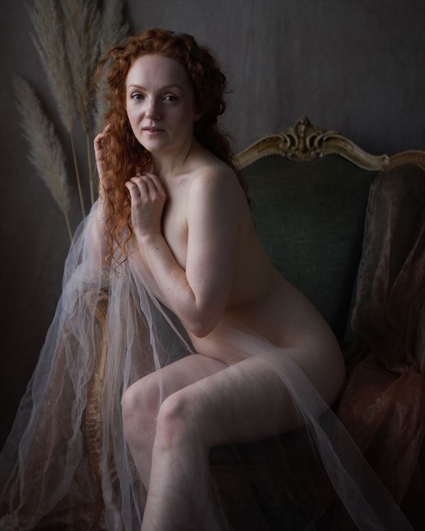 ivory flame natural light photo by photographer greyroamer photo