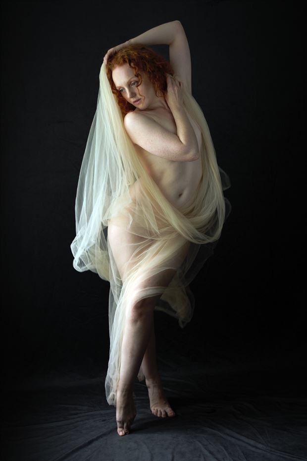 ivory flame_9084 natural light photo by photographer greyroamer photo