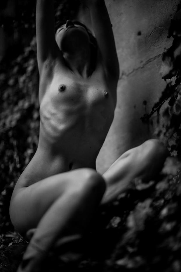 ivy artistic nude photo by photographer 
