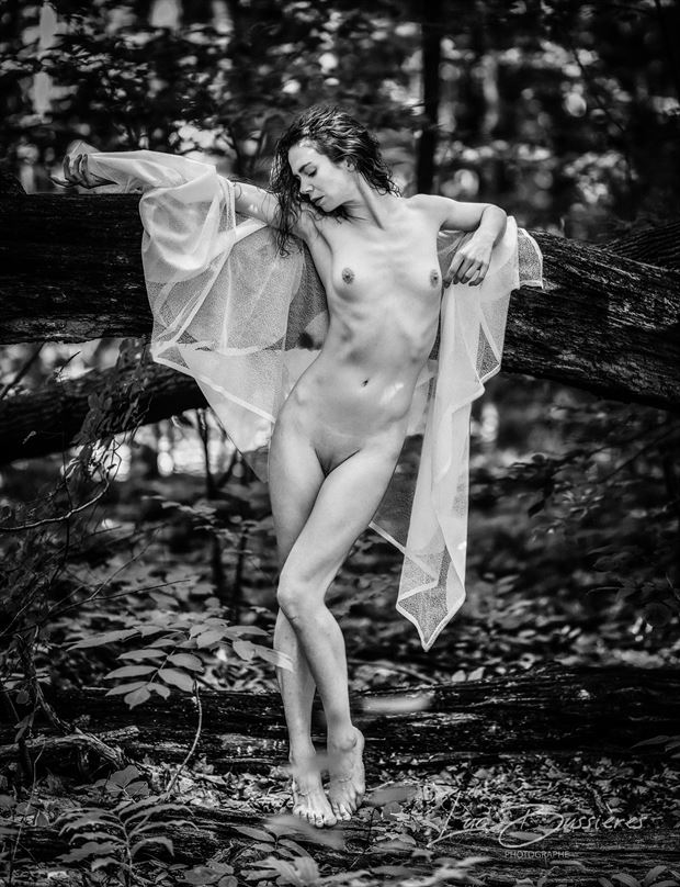 jay in the wood artistic nude photo by photographer luc bussieres