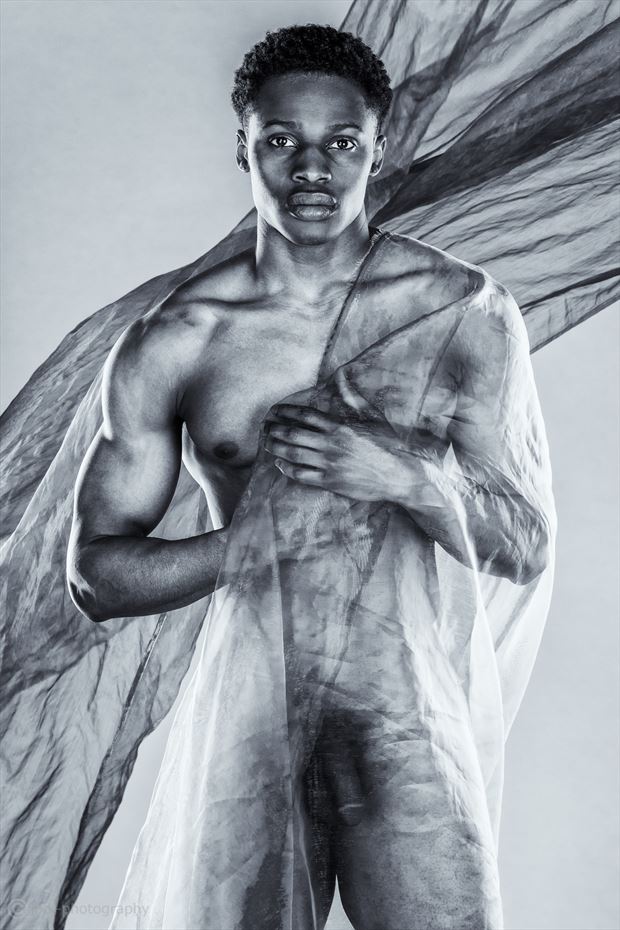 jay with chiffon artistic nude photo by photographer jbdi