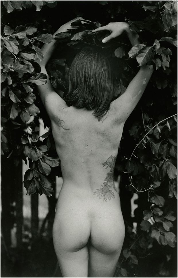 jenna joan artistic nude photo by photographer cheshire scott