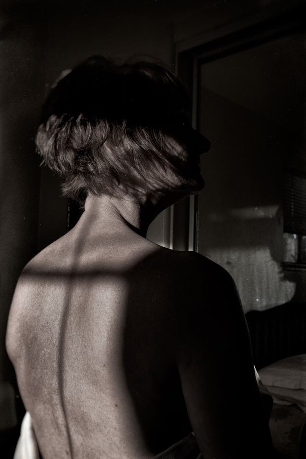 jennifer anne artistic nude artwork by photographer emissivity