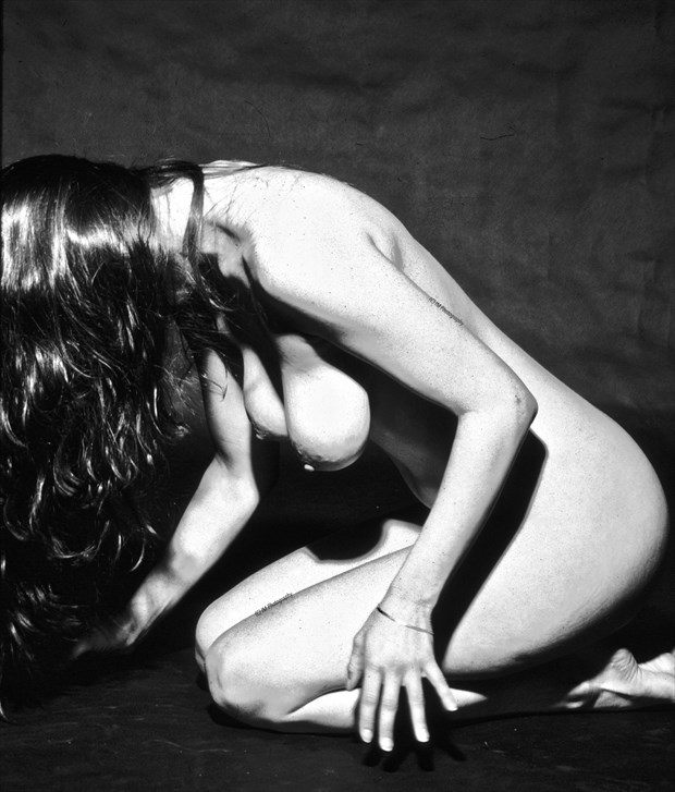 jennifer columbo artistic nude photo by photographer macro