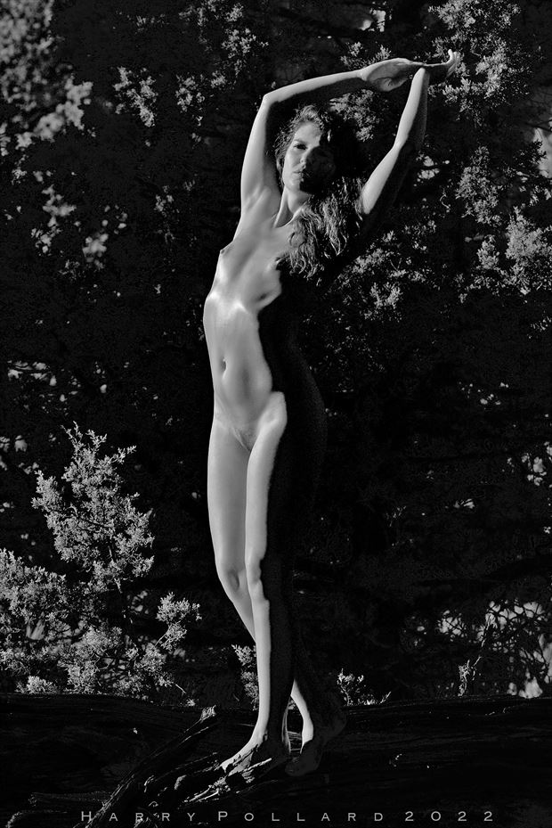 jessa in rimlight artistic nude photo by photographer shootist