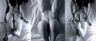 jessie triptych artistic nude artwork by artist essbeedee