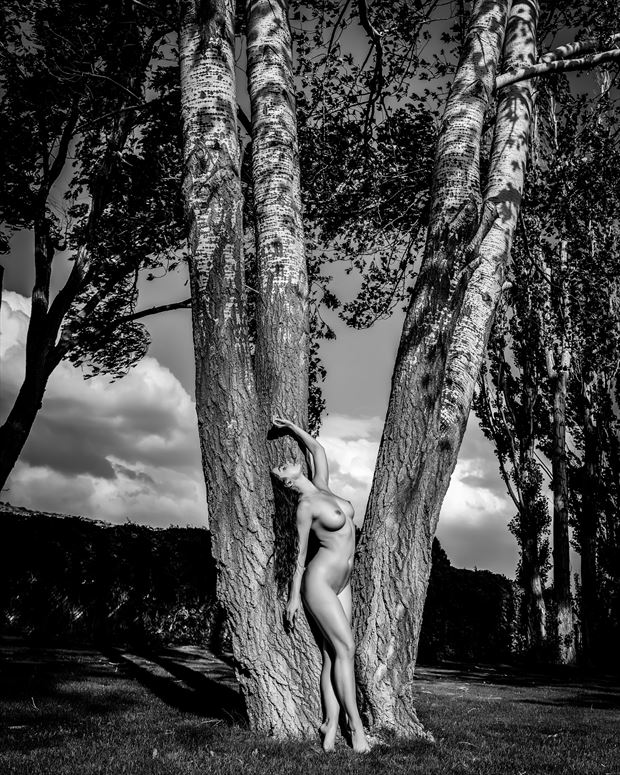jewels and trees artistic nude photo by photographer robert m bennett
