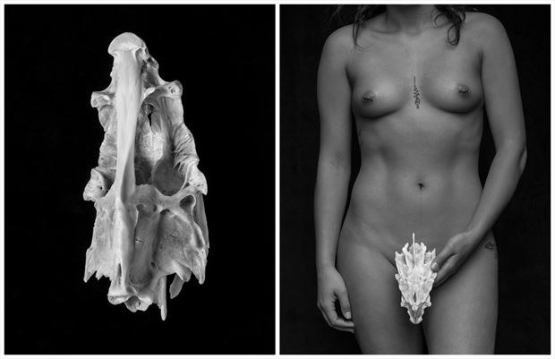 jules with skull gloucester ma 2018 artistic nude photo by photographer scott ryder
