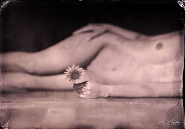 julia wet plate on 5x7 tintype artistic nude photo by photographer mike willingham