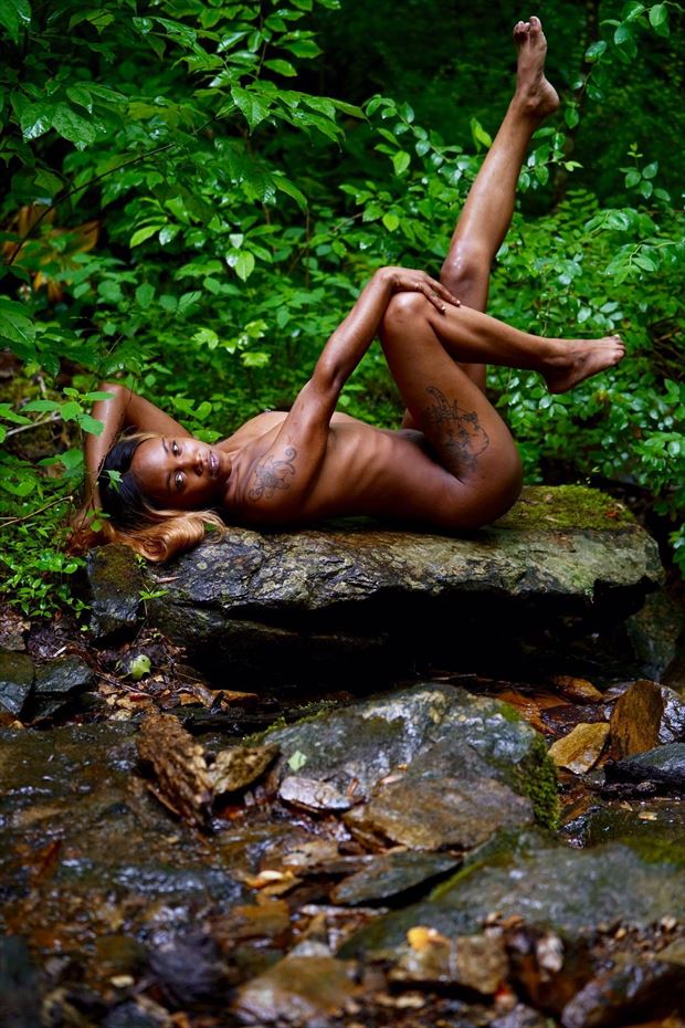jungle cat artistic nude artwork by photographer pasion for art