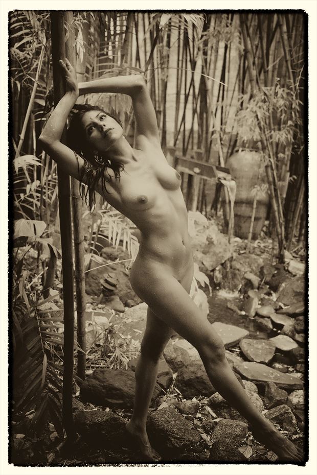 jungle fever artistic nude photo by photographer mykel moon