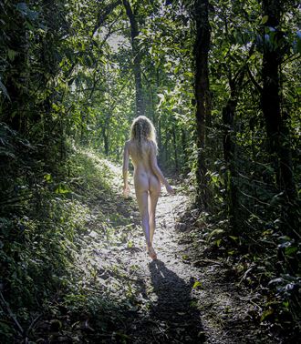 jungle stroll artistic nude photo by photographer danwarnerphotography