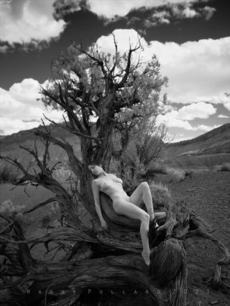 just resting artistic nude photo by photographer shootist