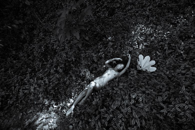 kalypso in the forest 2 artistic nude photo by photographer jjpr