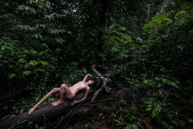kalypso in the forest in color 1 artistic nude photo by photographer jjpr