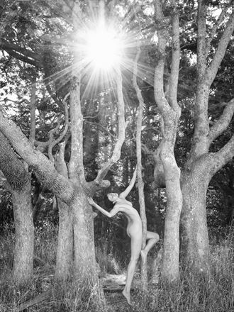 kate in sun and trees nature photo by photographer lightworkx
