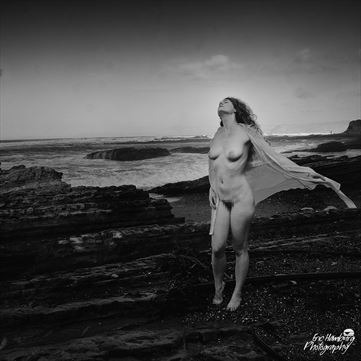 katja 2 artistic nude photo by photographer erichamburg