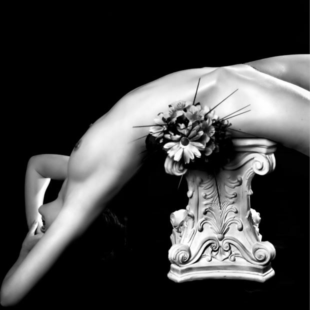 katrina elegant enigma artistic nude photo by photographer david zane