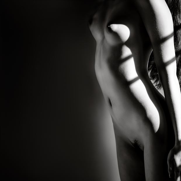 katrina muse perfection artistic nude photo by photographer david zane