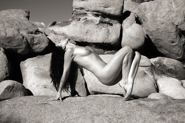 katy t artistic nude photo by photographer darrell graves