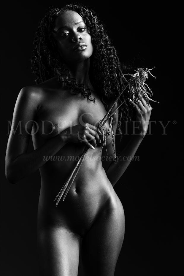 kayla artistic nude photo by photographer depa kote