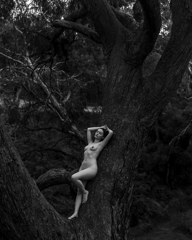 kaysea back to nature artistic nude photo by photographer environude