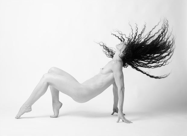 keira whip artistic nude photo by photographer lone shepherd