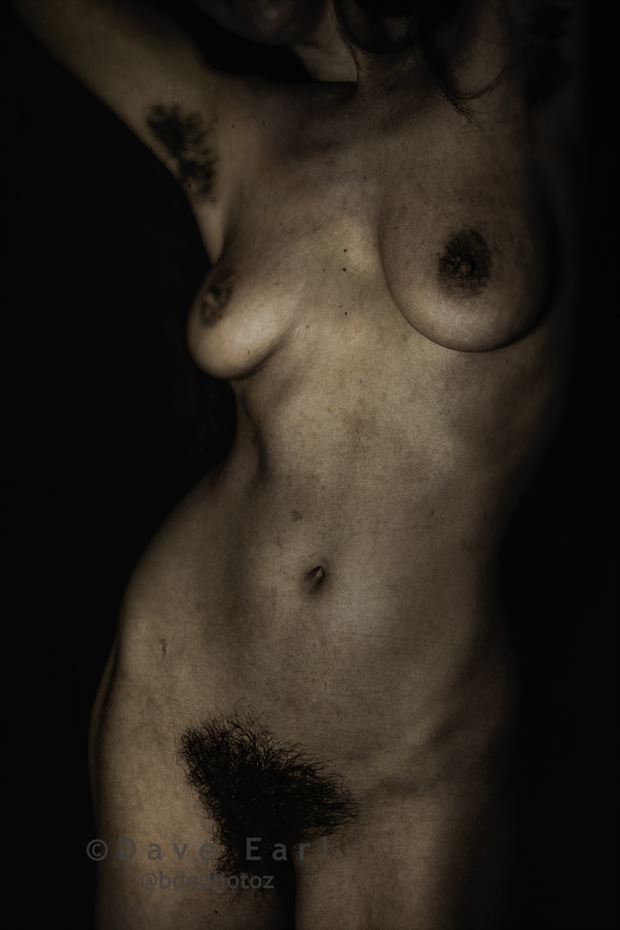 kelsey torso ii artistic nude photo by photographer dave earl