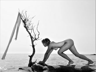 l arbuste de la mer 2 artistic nude artwork by photographer dick