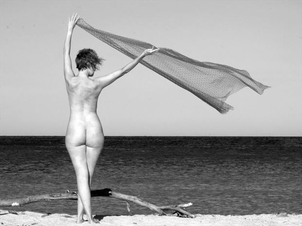 la branche sur la plage 1 artistic nude photo by photographer dick