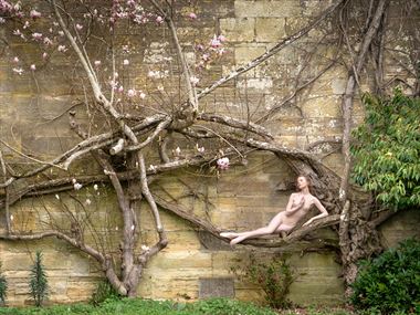 lady of the magnolias artistic nude photo by photographer paul mason