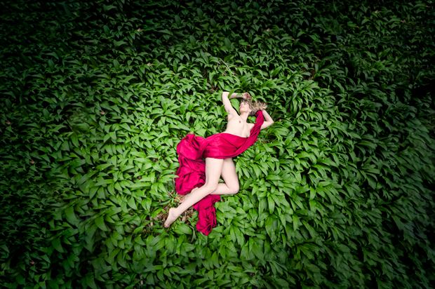 laid in the wild garlic artistic nude photo by photographer colin dixon