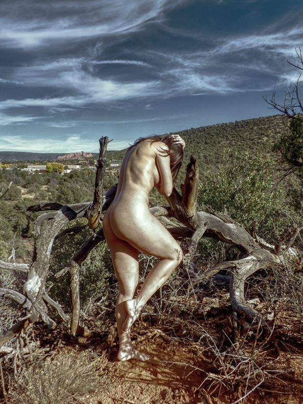 lament for a fallen pine artistic nude photo by photographer lugal
