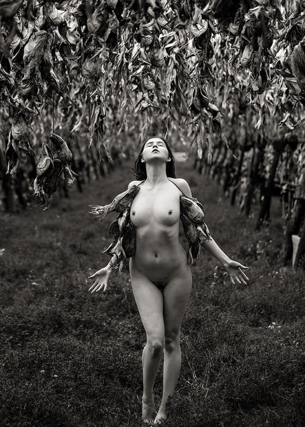 last breath artistic nude photo by model icelandic selkie