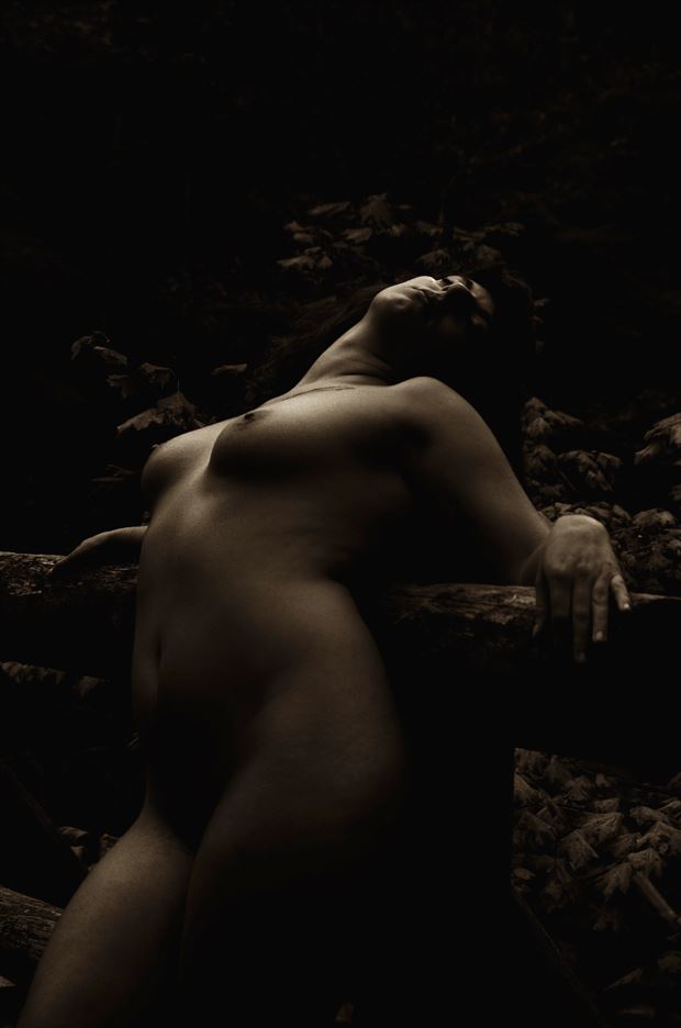 last light artistic nude photo by photographer aephotography