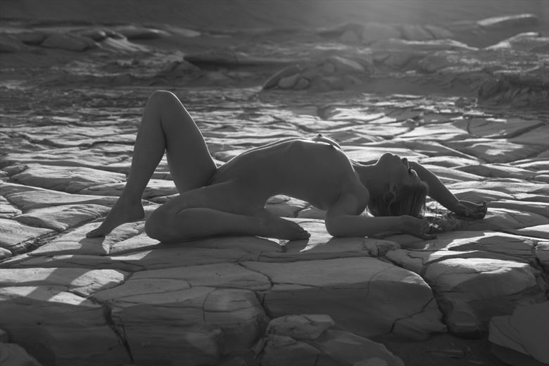 last light artistic nude photo by photographer werner lobert